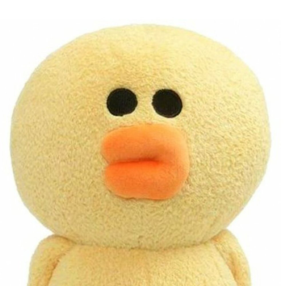 NWT "SALLY" Line Friends 10-Inch Plush GUND